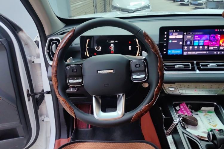 Used Haval H5 2025 2.0T Automatic All-Wheel Drive LinkedIn Edition Gasoline Steering Wheel
