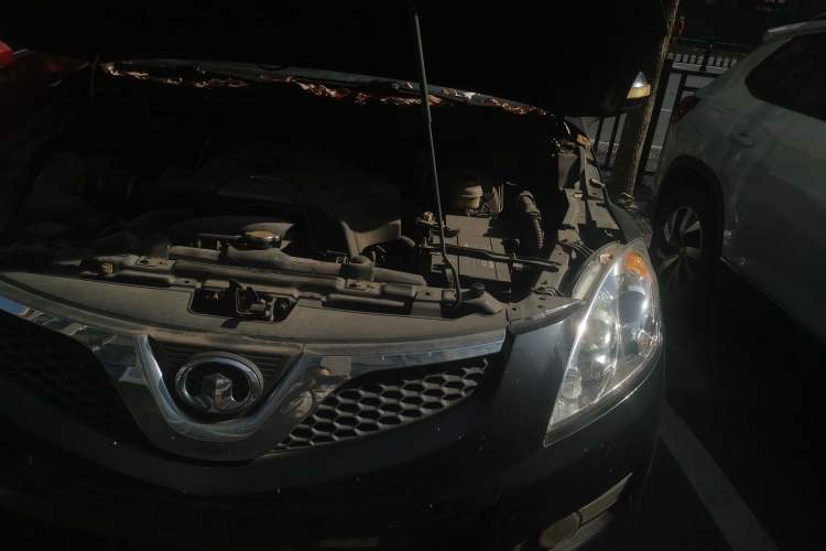 Used Haval H5 Classic 2010 European-style Model Green Quiet 2.0T Manual Two-Wheel Drive Luxury Version Engine Bay Left
