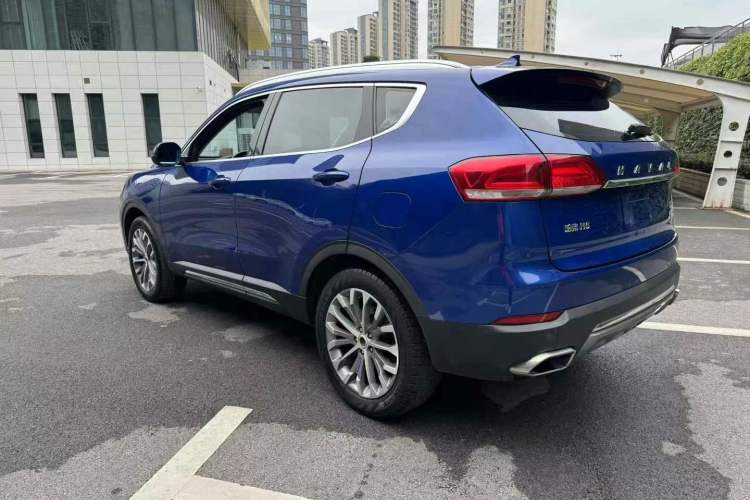 Used Haval H6 2017 Blue Label 2.0T Automatic Two-Wheel Drive Smart Edition Exterior 3