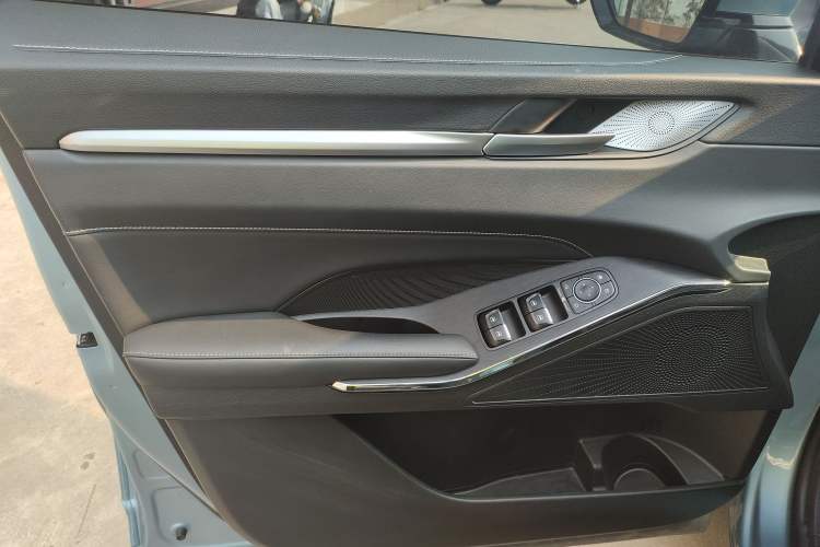 Used Haval H6 2022 Third Generation 1.5T DHT Left Front Door Interior