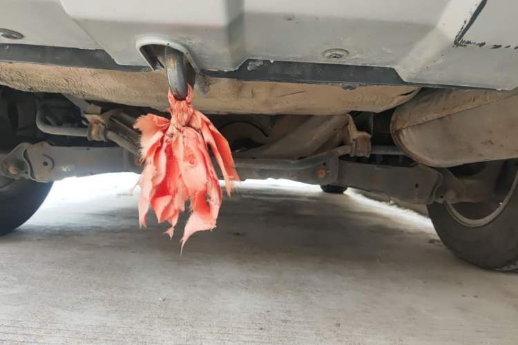 Used Haval H6 2011 2.0L Manual Two-Wheel Drive Elite Version Chassis Rear