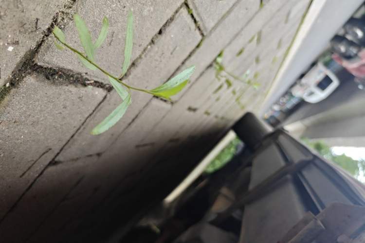 Used Haval H6 2014 Sport Version 1.5T Manual Two-Wheel Drive Elite Edition Chassis Rear Left