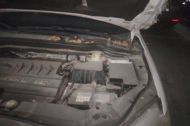 Used Haval H6 2014 Sport Version 1.5T Manual Two-Wheel Drive Elite Edition Engine Bay Left