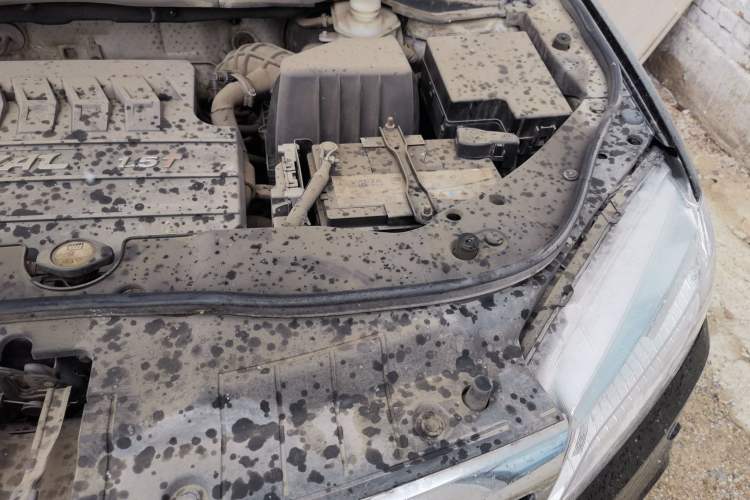 Used Haval H6 2015 Revised Version Sport Edition 1.5T Manual Transmission Two-Wheel Drive Elite Grade Engine Bay Left