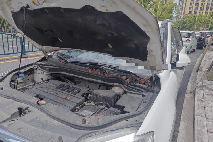Used Haval H6 2015 Sport Edition 1.5T Automatic Two-Wheel Drive Luxury Model Engine Bay Left