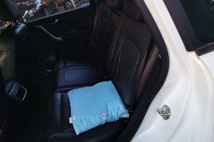 Used Haval H6 2015 Revised Version Sport Edition 1.5T Manual Transmission Two-Wheel Drive Elite Grade Left Rear Seat