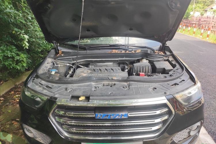 Used Haval H6 2017 Blue Label Sport Edition 1.5T Manual Two-Wheel Drive Elite Model Engine Bay