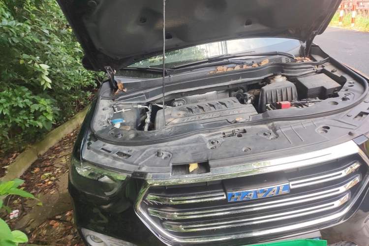 Used Haval H6 2017 Blue Label Sport Edition 1.5T Manual Two-Wheel Drive Elite Model Engine Bay Right