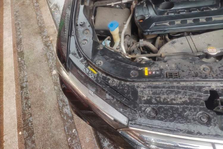 Used Haval H6 2017 Blue Label 2.0T Automatic Two-Wheel Drive Leading Model Engine Bay Right