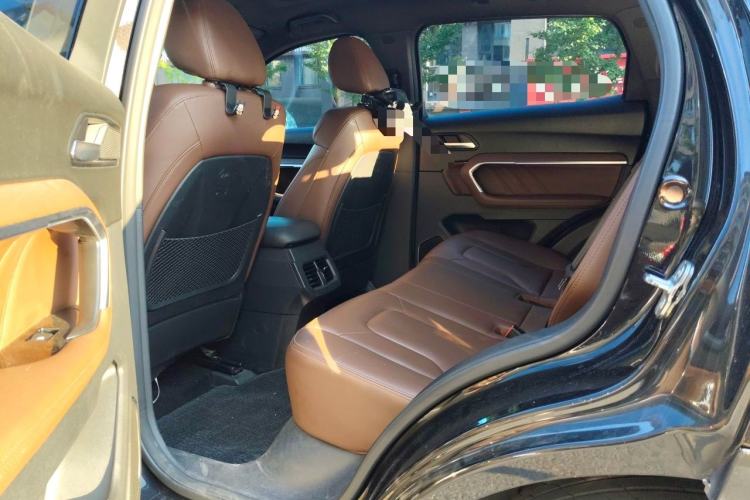 Used Haval H6 2017 Blue Label 2.0T Automatic Two-Wheel Drive Smart Edition Left Rear Seat