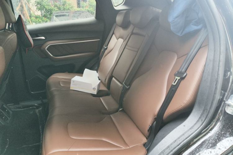 Used Haval H6 2017 Blue Label 1.5T Automatic Two-Wheel Drive ZhiShang Model Left Rear Seat