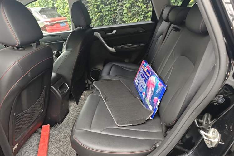 Used Haval H6 2017 Blue Label Sport Edition 1.5T Automatic Two-Wheel Drive Luxury Model Left Rear Seat