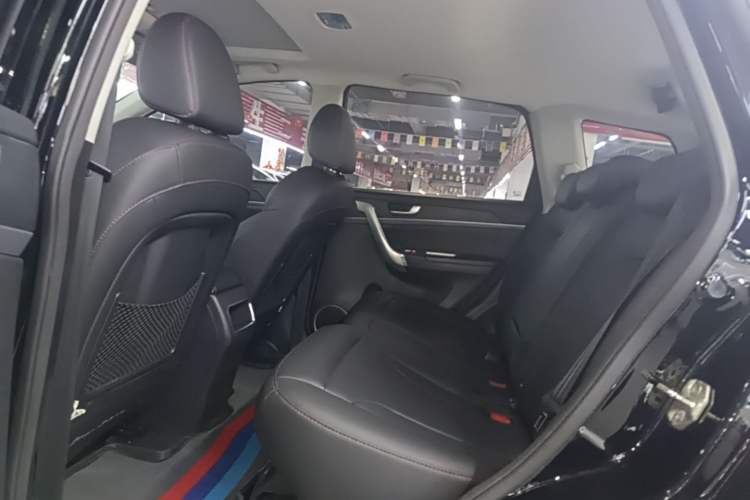 Used Haval H6 2017 Blue Label Sport Edition 1.5T Manual Two-Wheel Drive Elite Model Left Rear Seat