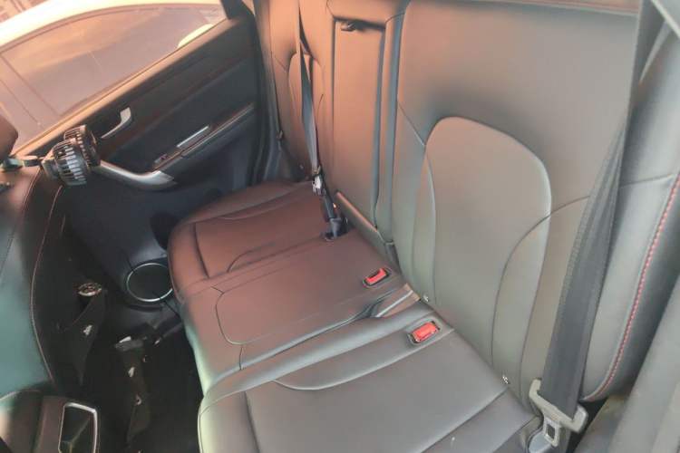 Used Haval H6 2017 Red-Label Sport Edition 1.5T Manual Two-Wheel Drive Elite Model Left Rear Seat