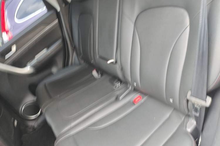 Used Haval H6 2017 Blue Label Sport Edition 1.5T Manual Two-Wheel Drive Elite Model Left Rear Seat