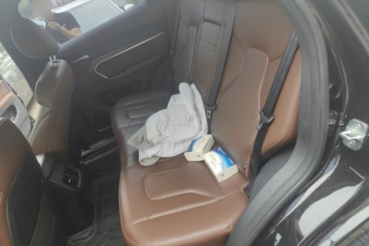 Used Haval H6 2017 Red Label 2.0T Automatic Two-Wheel Drive ZhiShang Model Left Rear Seat