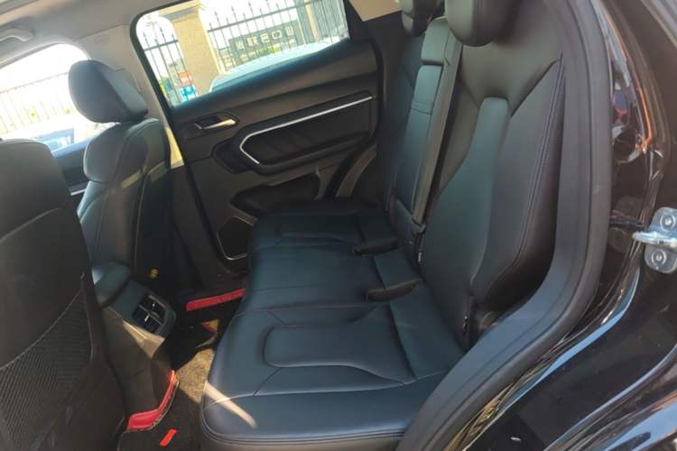Used Haval H6 2017 Blue Label 1.5T Automatic Two-Wheel Drive ZhiShang Model Left Rear Seat