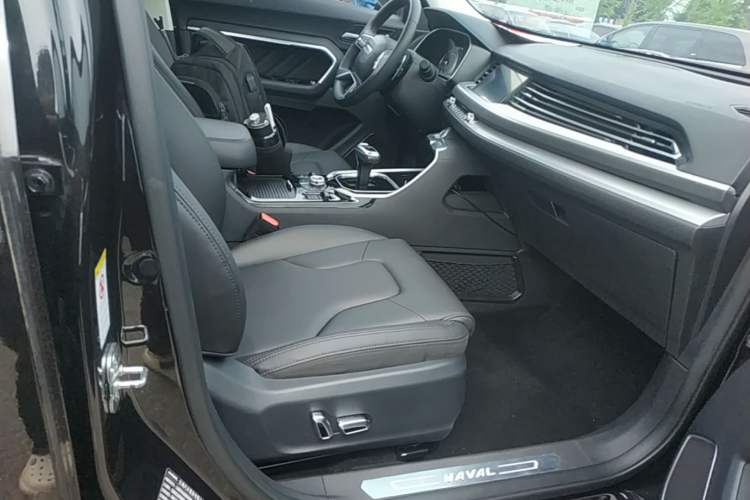Used Haval H6 2017 Blue Label 2.0T Automatic Two-Wheel Drive Smart Edition Right Front Seat