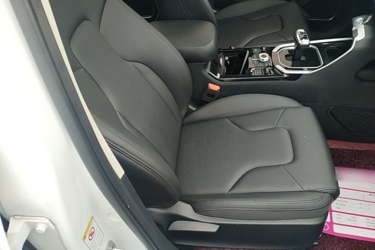 Used Haval H6 2017 Red Label 2.0T Automatic Two-Wheel Drive ZhiShang Model Right Front Seat