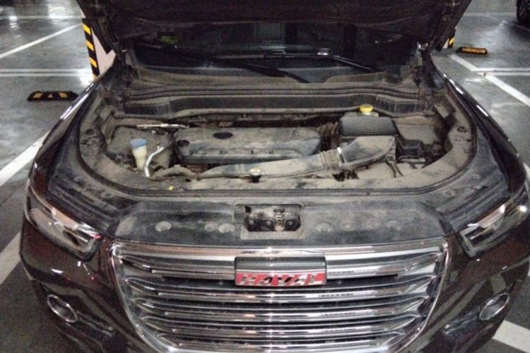 Used Haval H6 2017 Red Label 2.0T Automatic Two-Wheel Drive ZhiShang Model Engine Bay
