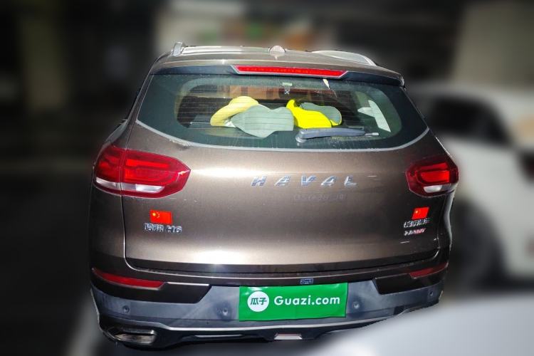 Used Haval H6 2017 Red Label 2.0T Automatic Two-Wheel Drive ZhiShang Model Rear