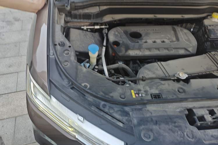 Used Haval H6 2017 Blue Label 2.0T Automatic Two-Wheel Drive Smart Edition Engine Bay Right