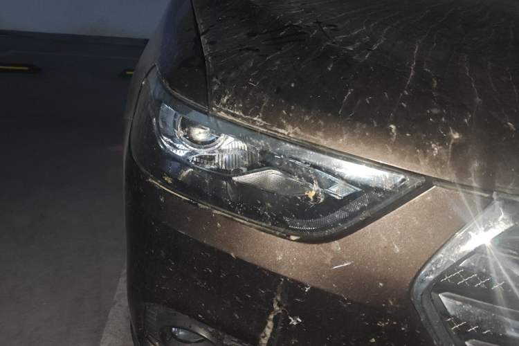 Used Haval H6 2017 Blue Label Sport Edition 1.5T Automatic Two-Wheel Drive Luxury Model Right Front Headlight