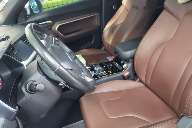 Used Haval H6 2017 Blue Label 2.0T Automatic Two-Wheel Drive Leading Model Left Front Seat