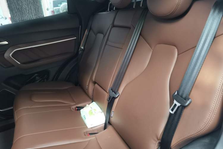 Used Haval H6 2017 Blue Label 2.0T Automatic Two-Wheel Drive Leading Model Left Rear Seat