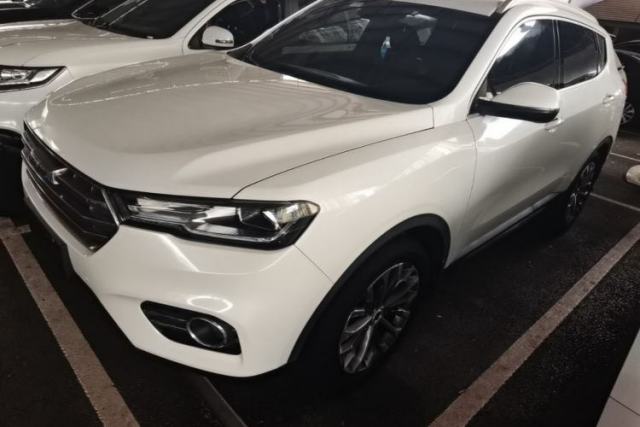 Used Haval H6 2017 Blue Label 2.0T Automatic Two-Wheel Drive Leading Model