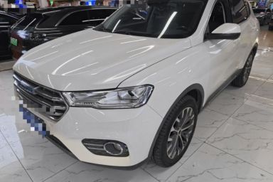 Used Haval H6 2017 Blue Label 2.0T Automatic Two-Wheel Drive Smart Edition