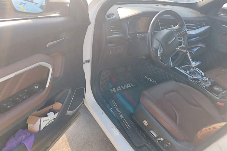 Used Haval H6 2017 Blue Label 2.0T Automatic Two-Wheel Drive Leading Model Driver Seat