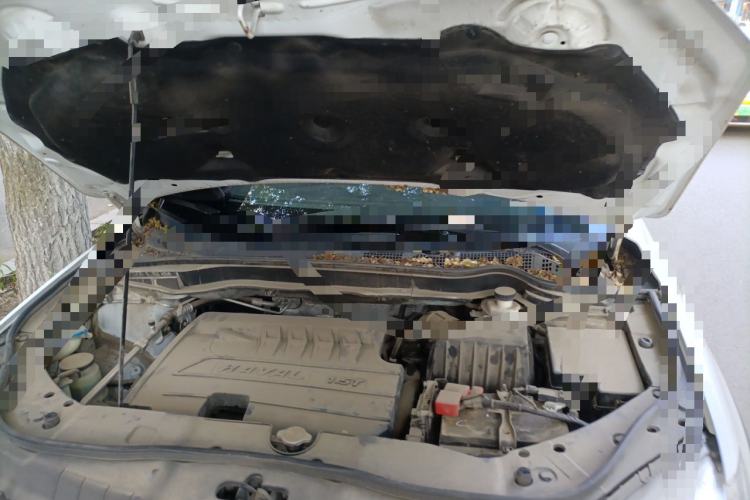 Used Haval H6 2017 Revised Red-Label Sport Version 1.5T Automatic Two-Wheel Drive Premium Edition Engine Bay