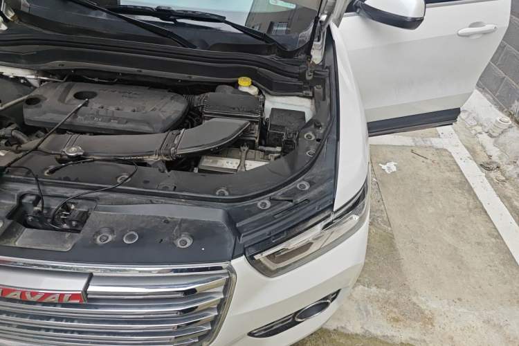 Used Haval H6 2017 Red Label 2.0T Automatic Two-Wheel Drive ZhiShang Model Engine Bay Left