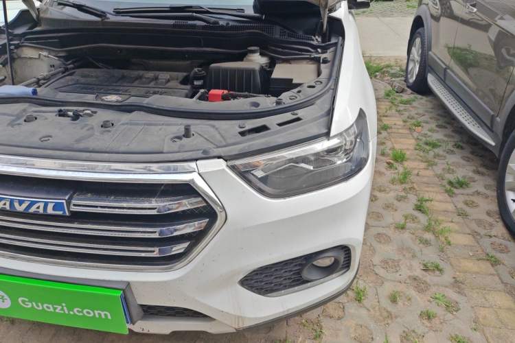 Used Haval H6 2017 Blue Label Sport Edition 1.5T Manual Two-Wheel Drive Elite Model Engine Bay Left