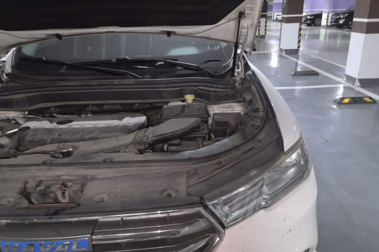 Used Haval H6 2017 Blue Label 2.0T Automatic Two-Wheel Drive Smart Edition Engine Bay Left