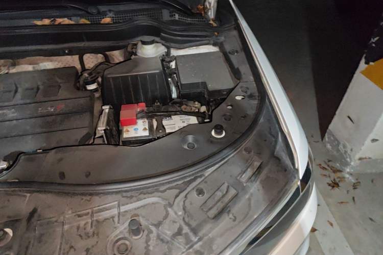 Used Haval H6 2017 Blue Label Sport Edition 1.5T Manual Two-Wheel Drive Elite Model Engine Bay Left