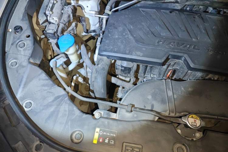 Used Haval H6 2017 Blue Label 1.5T Automatic Two-Wheel Drive Luxury Model Engine Bay Right