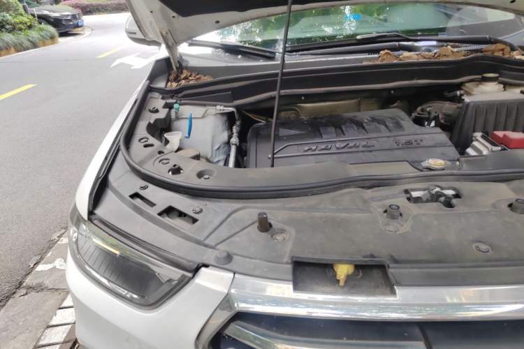 Used Haval H6 2017 Blue Label Sport Edition 1.5T Manual Two-Wheel Drive Elite Model Engine Bay Right