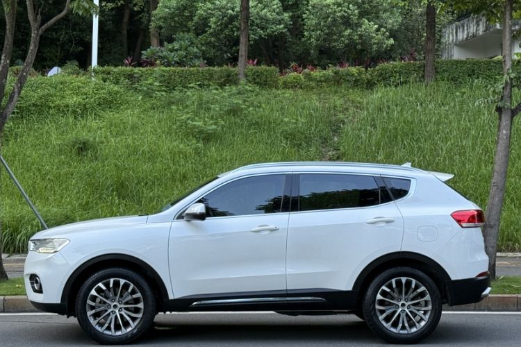 Used Haval H6 2017 Blue Label 2.0T Automatic Two-Wheel Drive Smart Edition Exterior 2