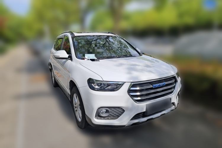 Used Haval H6 2017 Blue Label Sport Edition 1.5T Manual Two-Wheel Drive Elite Model Exterior 2
