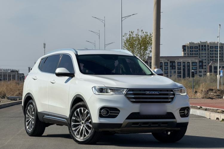 Used Haval H6 2017 Blue Label 2.0T Automatic Two-Wheel Drive Smart Edition Exterior 2