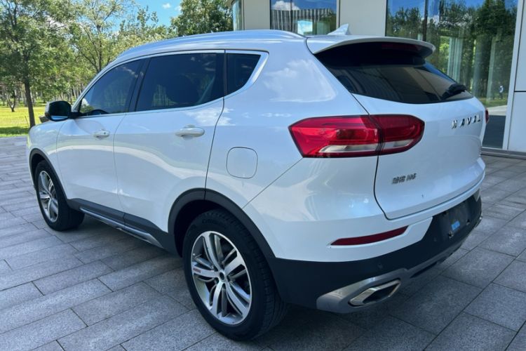 Used Haval H6 2017 Red Label 2.0T Automatic Two-Wheel Drive ZhiShang Model Exterior 3