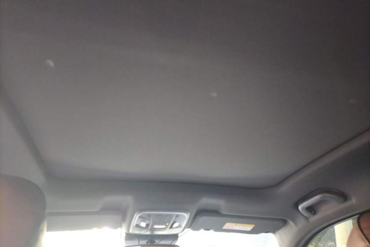 Used Haval H6 2017 Red Label 2.0T Automatic Two-Wheel Drive ZhiShang Model Headliner