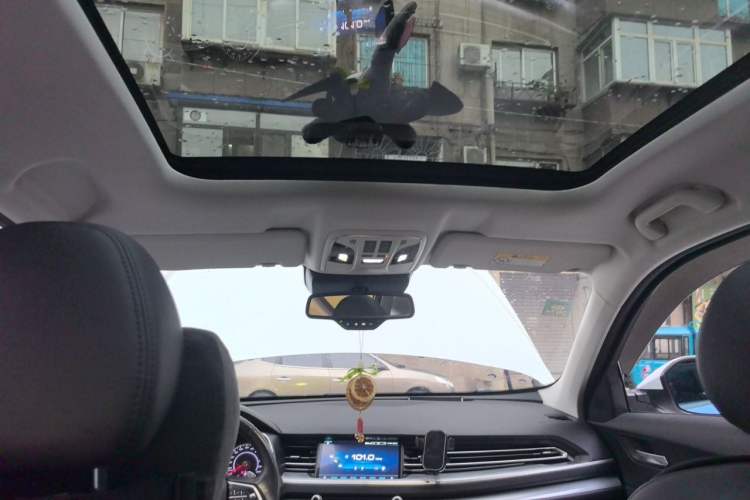 Used Haval H6 2017 Red Label 2.0T Automatic Two-Wheel Drive ZhiShang Model Headliner