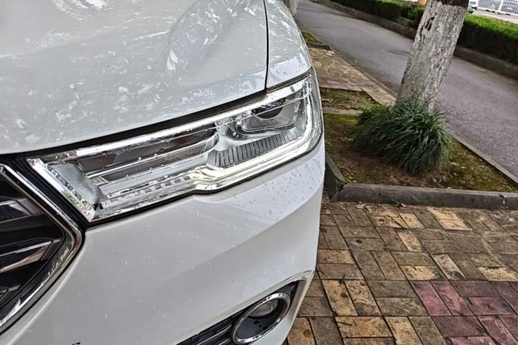Used Haval H6 2017 Blue Label 1.5T Automatic Two-Wheel Drive ZhiShang Model Left Front Headlight