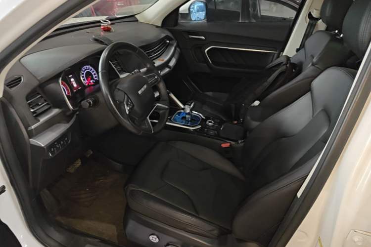 Used Haval H6 2017 Red-Label 1.3T Automatic Two-Wheel Drive ZhiShang Model Left Front Seat