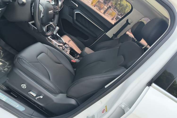 Used Haval H6 2017 Blue Label 1.5T Automatic Two-Wheel Drive ZhiShang Model Left Front Seat