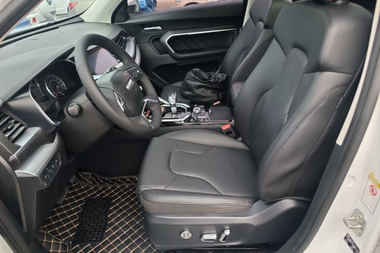 Used Haval H6 2017 Blue Label 2.0T Automatic Two-Wheel Drive Smart Edition Left Front Seat