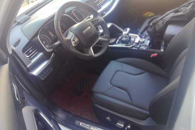 Used Haval H6 2017 Blue Label 2.0T Automatic Two-Wheel Drive Smart Edition Left Front Seat
